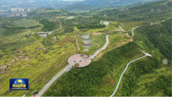 迎橄欖豐收 助鄉(xiāng)村振興 四川旅投聚峰谷油橄欖產(chǎn)業(yè)帶動金堂公園城市綠色低碳發(fā)展