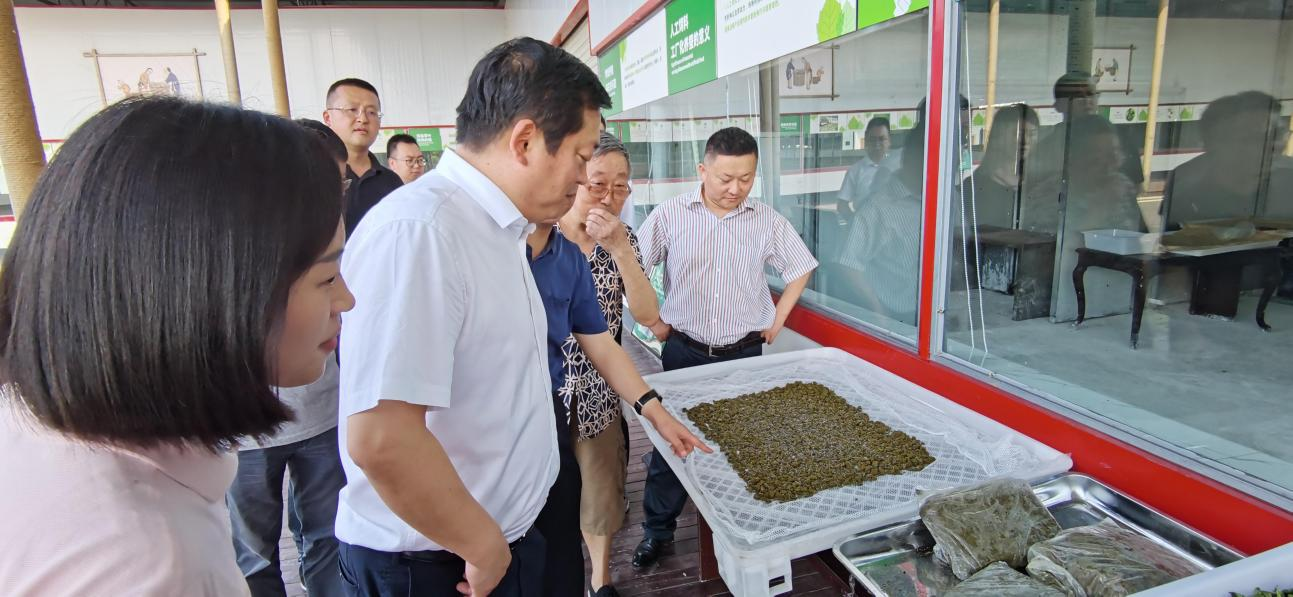 省旅投集團黨委副書記、董事陳日赴嘉陵區(qū)調(diào)研茶桑產(chǎn)業(yè)發(fā)展情況