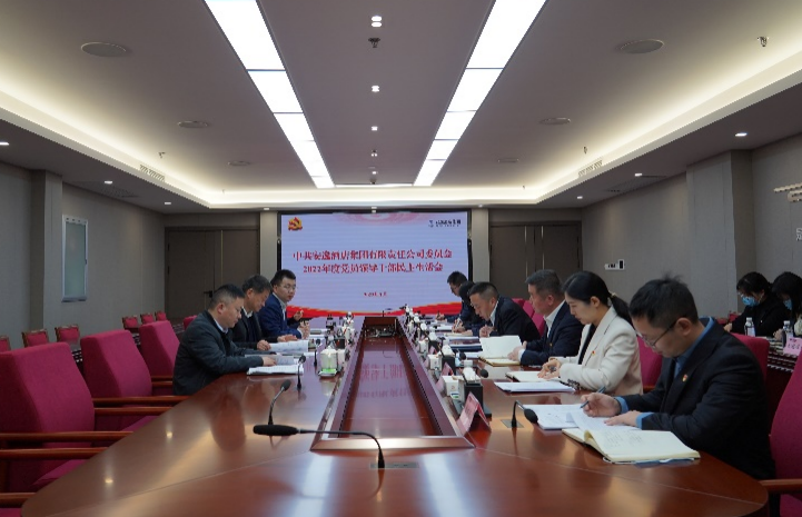 旅投集團(tuán)黨委書記、董事長(zhǎng)任丁出席安逸酒店集團(tuán)2022年度黨員領(lǐng)導(dǎo)干部民主生活會(huì)