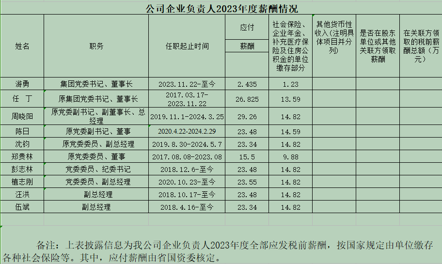 公司企業(yè)負(fù)責(zé)人2023年度薪酬情況